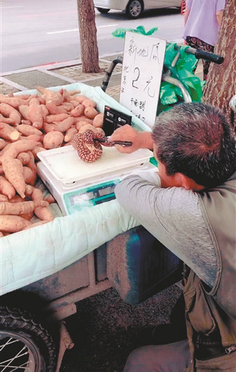被地瓜耽误的画家！沈阳“地瓜大叔”意外走红