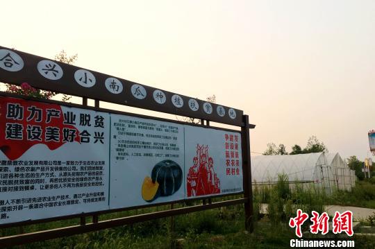 大别山贫困山村的蝶变：产业助力驶入乡村振兴快车道