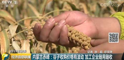 ���ɹų�壺�����չ��۸��в��� �ӹ���ҵ��������