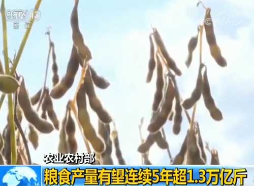 ũҵũ�岿����ʳ������������5�곬1.3���ڽ�