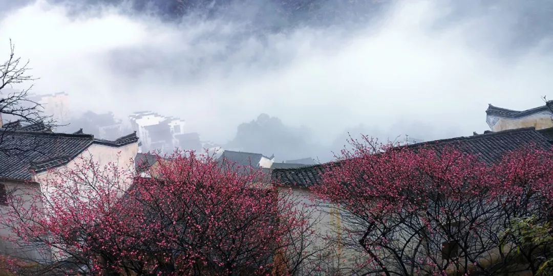 小雪，飞雪如花落 岁岁又年年（图6）