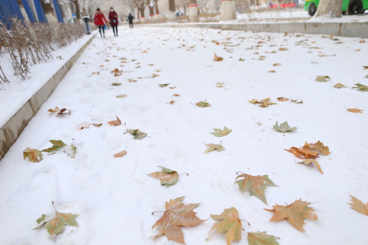 小雪，飞雪如花落 岁岁又年年（图7）