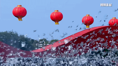 400_225gif 动态图 动图