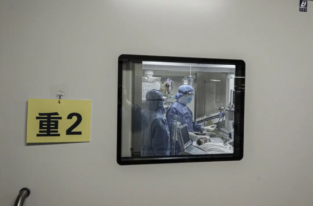 也许这是你第一次看到他们在隔离区的样子