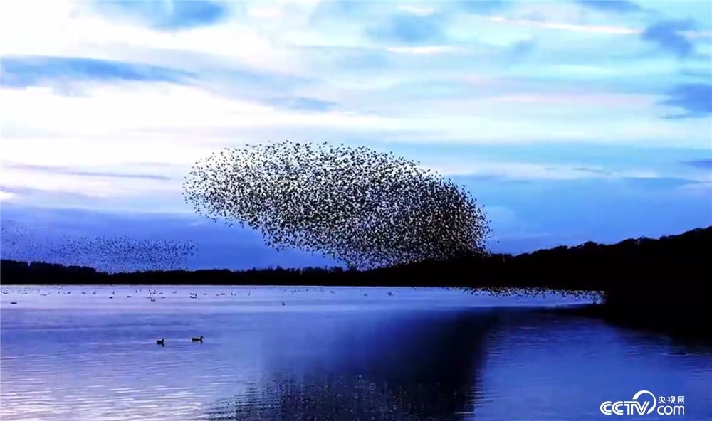 《科幻地带》节目预告:未来的人或许不需要语言,而靠"心灵沟通"?