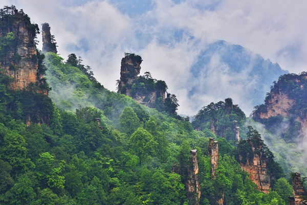 高山峡谷,茂密的森林,使张家界国家森林公园形成了独特的森林小气候