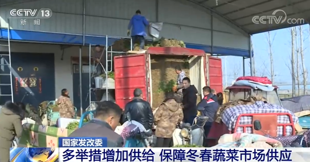 蔬菜价格出现波动 多措并举稳定价格