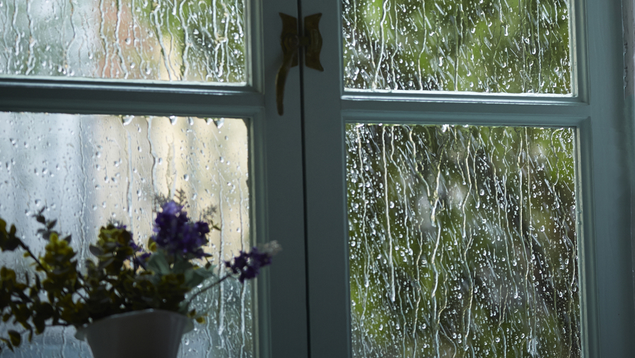 梅雨强势回归 上海本周阵雨雷雨天天见 快看这份防霉保健攻略 上海频道 央视网