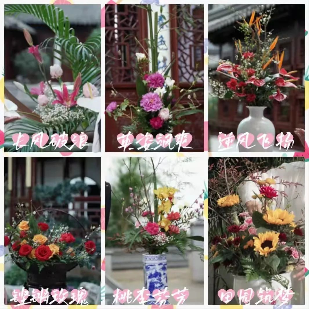 以花为引 绽放芳华 新闻频道 央视网 Cctv Com