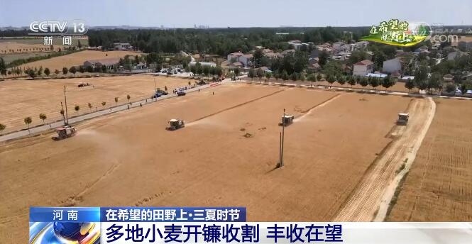 【在希望的田野上·三夏时节】河南多地开镰收割 小麦丰收在望_新闻频道_央视网(cctv.com)