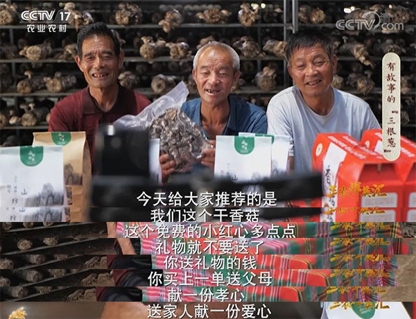 粉丝从1000到1000多万,"三根葱男团"凭啥?_cctv专区_央视网(cctv.com)