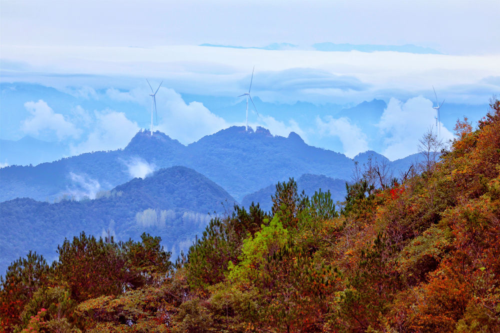 诗意中国｜山明水净夜来霜，数树深红出浅黄