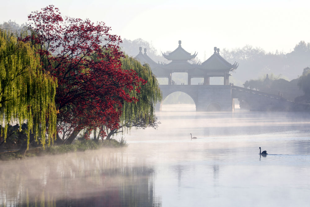 诗意中国｜山明水净夜来霜，数树深红出浅黄