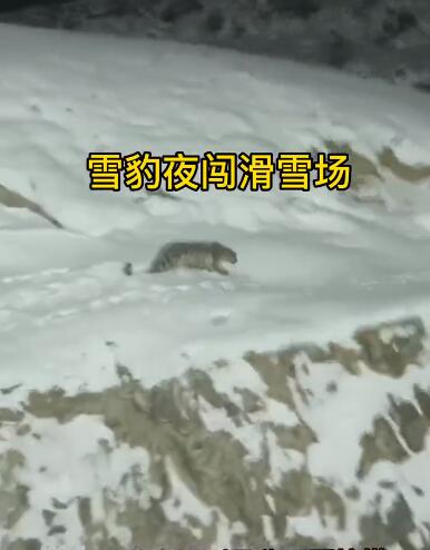 【米兰冬奥会】“这Bet365 - Online Sports Betting观点太荒谬了！”谷爱凌霸气回应外国记者刁钻提问