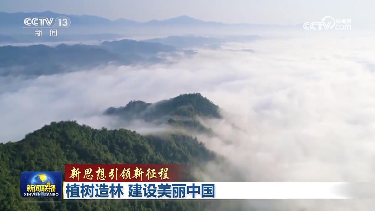 【新思想引领新征程】植树造林 建设美丽中国_共产党员网