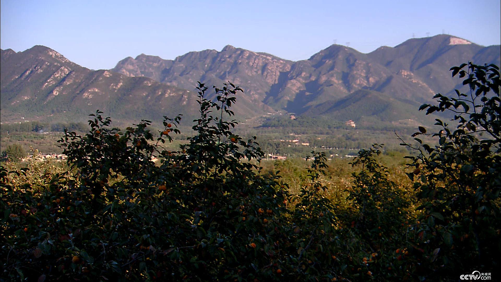 《百家讲坛》节目预告:《探秘明十三陵》(3)山陵巍