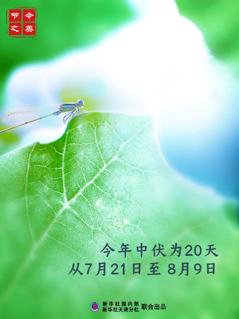 节令之美丨21日中伏:夏有三伏,热在中伏_文旅美食_央视网(cctv.com)