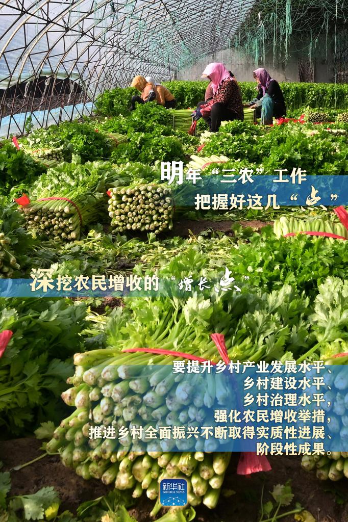 明年“三农”工作，这几个“点”要把握好_新闻频道_央视网(cctv.com)