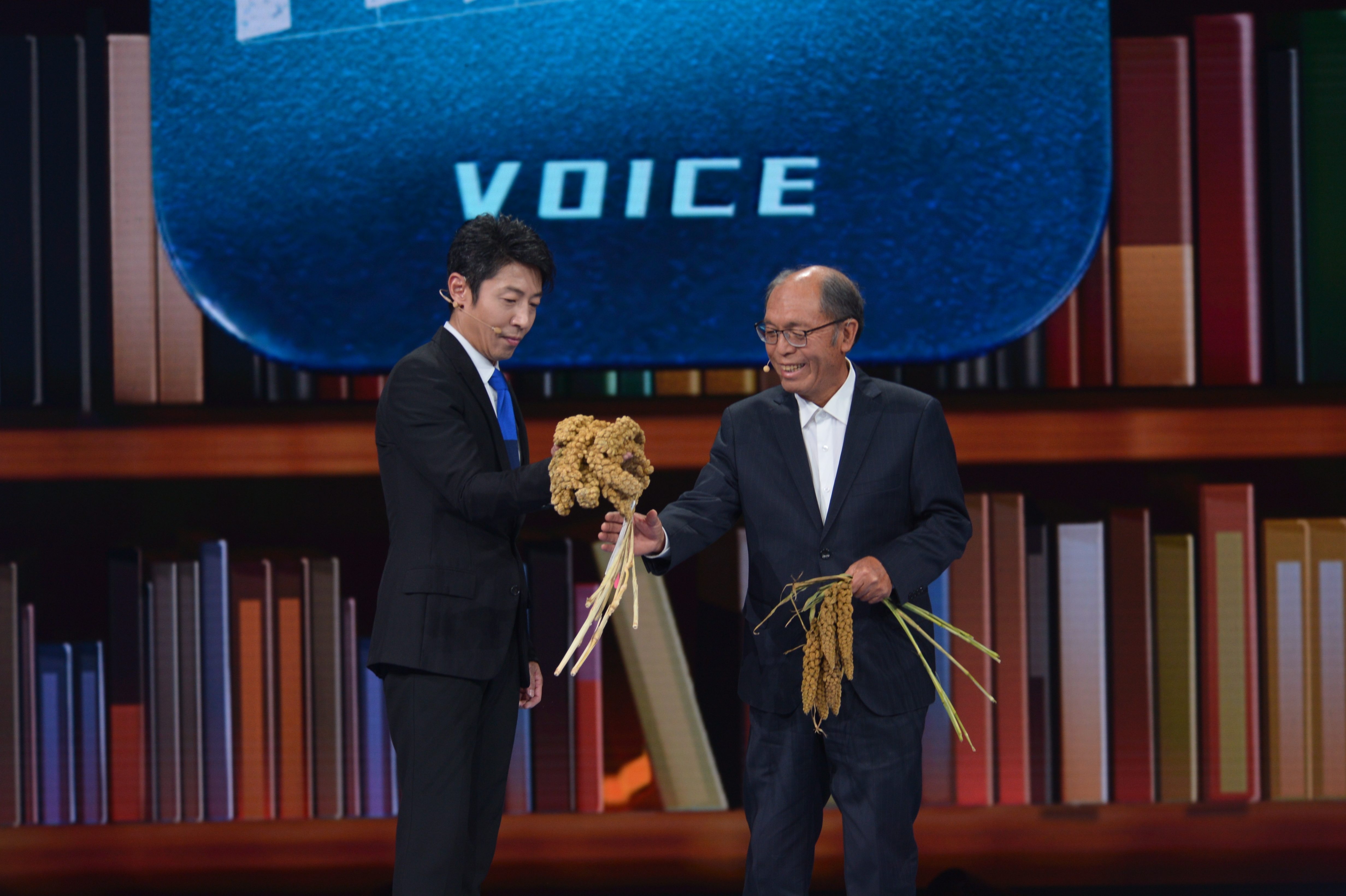 《开讲啦》赵治海:杂交谷子让"中国饭碗"端得更牢_cctv节目官网-cctv