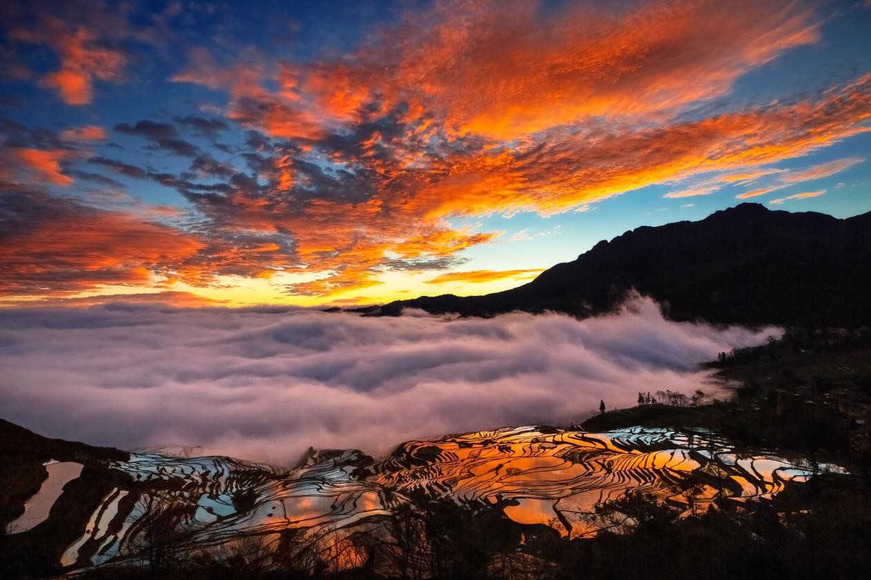 多依树日出（邢晋苏/摄）