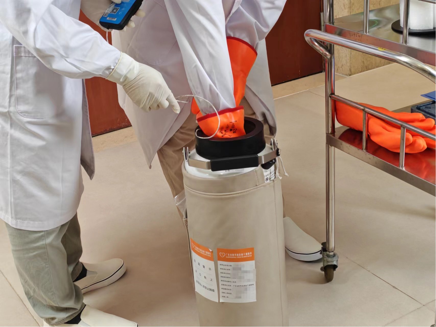 脐血运输专用的转运液氮罐