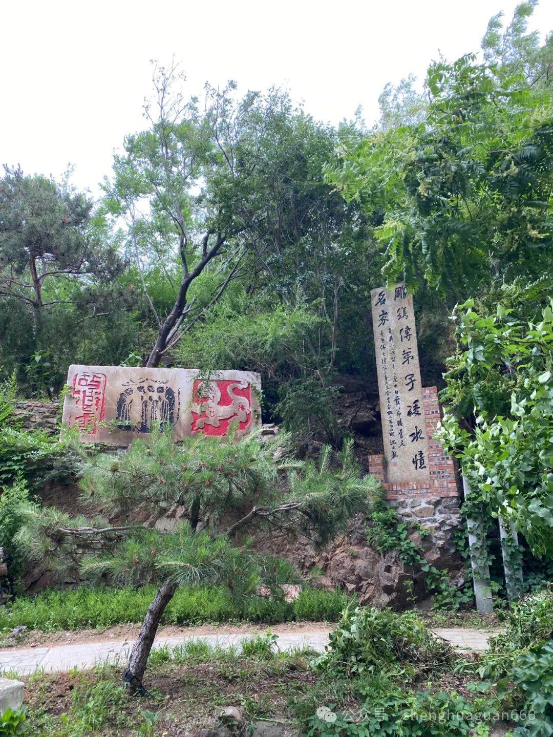 虎溪窑王丹龙年刻龙印