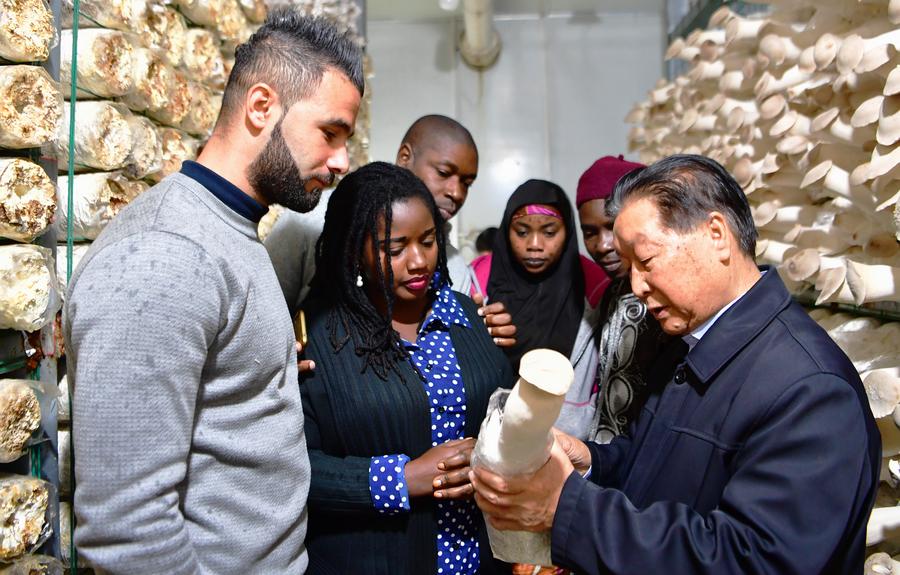 Lin Zhanxi (R), a professor from China’s Fujian Agriculture and Forestry University, visits a mushroom growing shed in Kigali, Rwanda, on Aug. 2, 2024. (Xinhua/Ji Li)