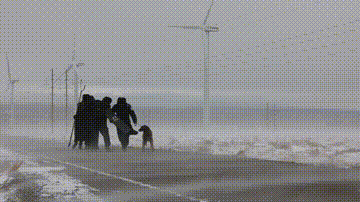 降温超10℃！警惕“白毛风”！哪些路段受影响？