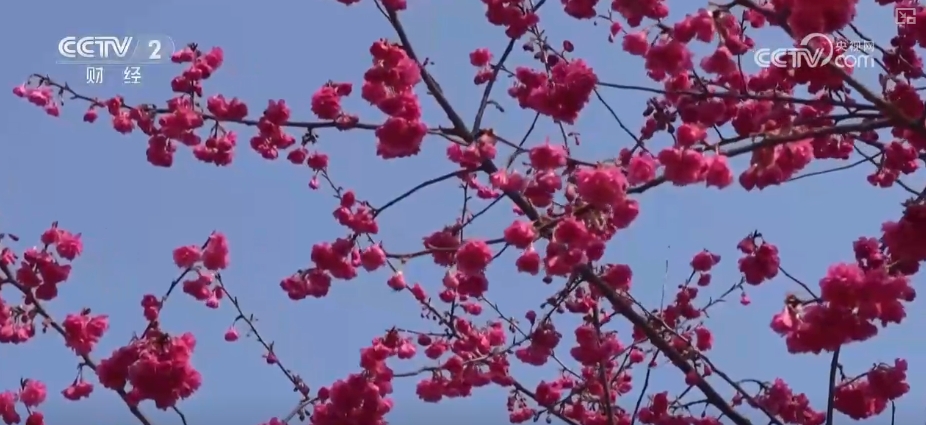 创新服务提升消费体验 解锁“美丽经济”百变打开方式