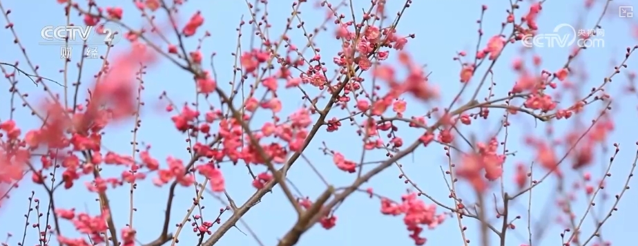 创新服务提升消费体验 解锁“美丽经济”百变打开方式