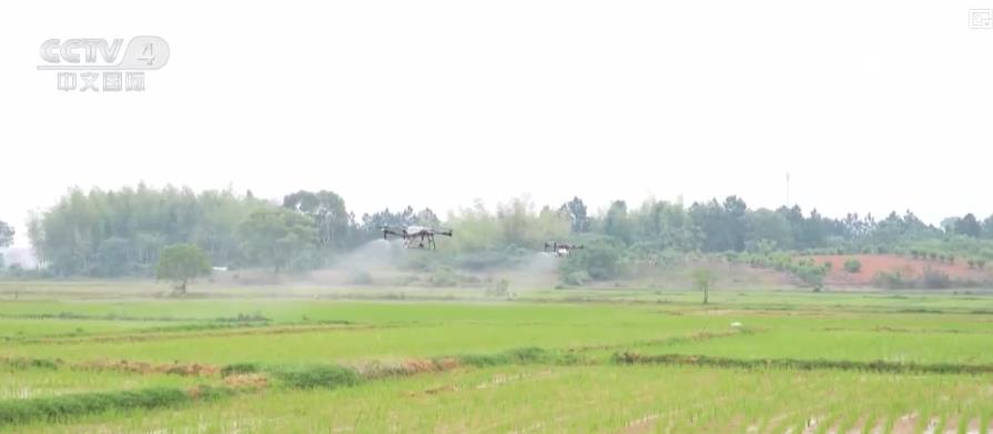 全国春播加速推进 夏粮生产关键期各地全力保丰收