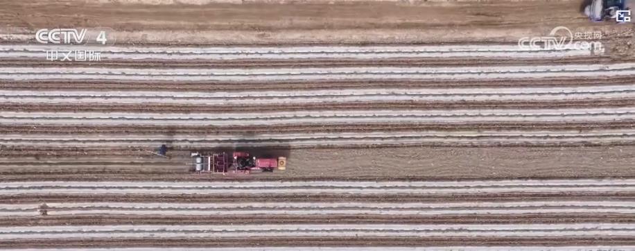 全国春播加速推进 夏粮生产关键期各地全力保丰收