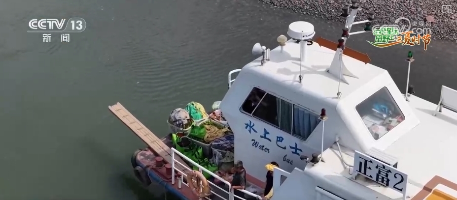 “智慧农业”点亮农旅融合发展 江上“菜篮子”将“流量”变“增量”