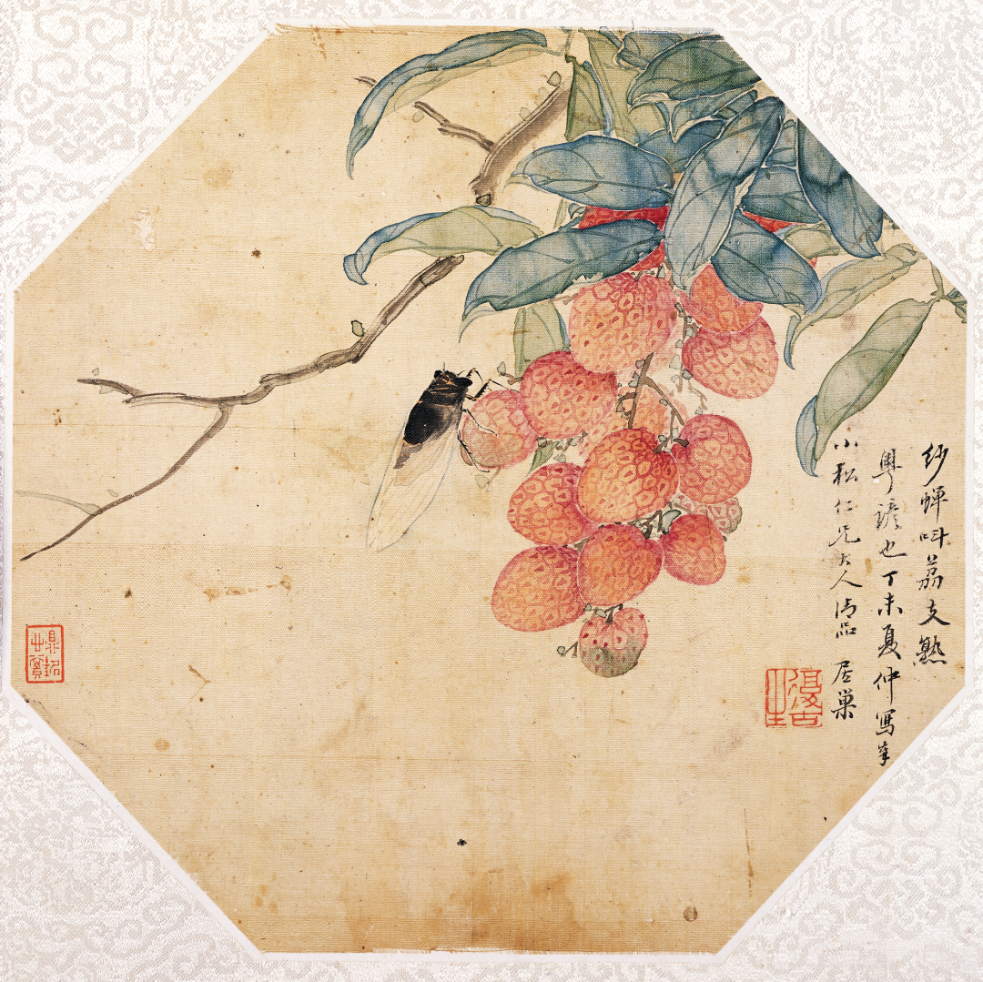 方土:对荔枝,古今画家都情有独钟 | 名家说名作·岭南佳果