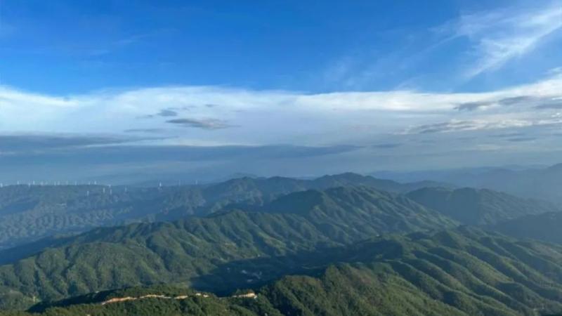 古墨 天空 古墨 有信堂 本松煙 青墨 天空 松煙
