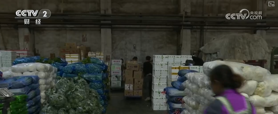 物丰价稳！多举措协同应对低温 保障百姓“菜篮子”无忧