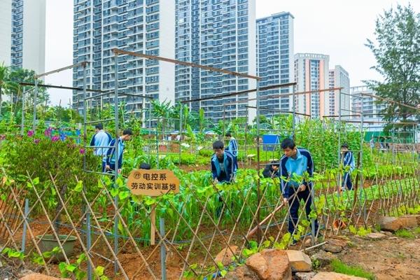 中职劳动教育“闯”出大天地