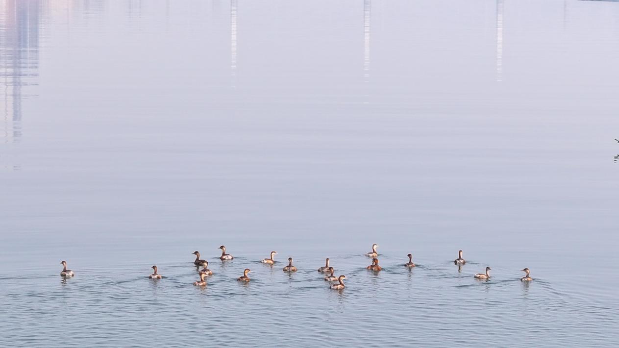 һȺС���������߮���潭��ɽ�Σ��ξ�/�㣩