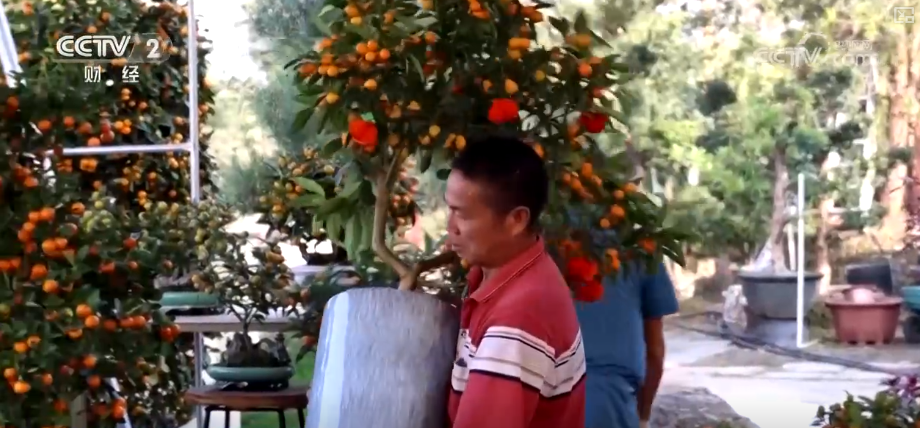 百年大集出圈圈粉海外游客 特色年货走俏“小而美”创新品类拓宽消费新场景