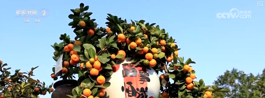 百年大集出圈圈粉海外游客 特色年货走俏“小而美”创新品类拓宽消费新场景