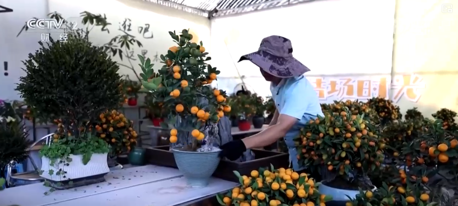 百年大集出圈圈粉海外游客 特色年货走俏“小而美”创新品类拓宽消费新场景