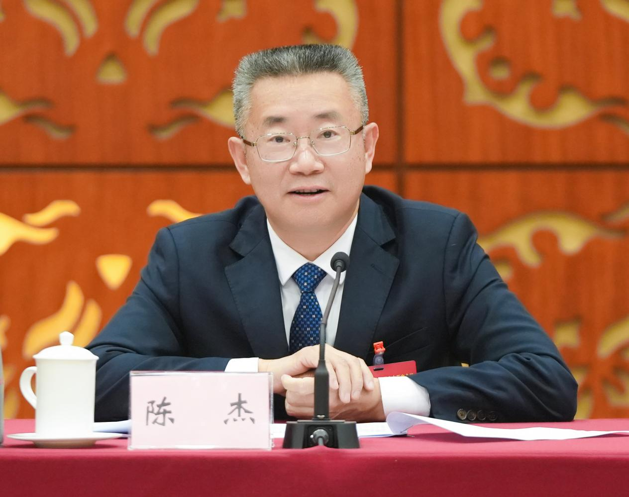 广东省人大代表，江门市委书记，江门市人大常委会党组书记、主任候选人陈杰。