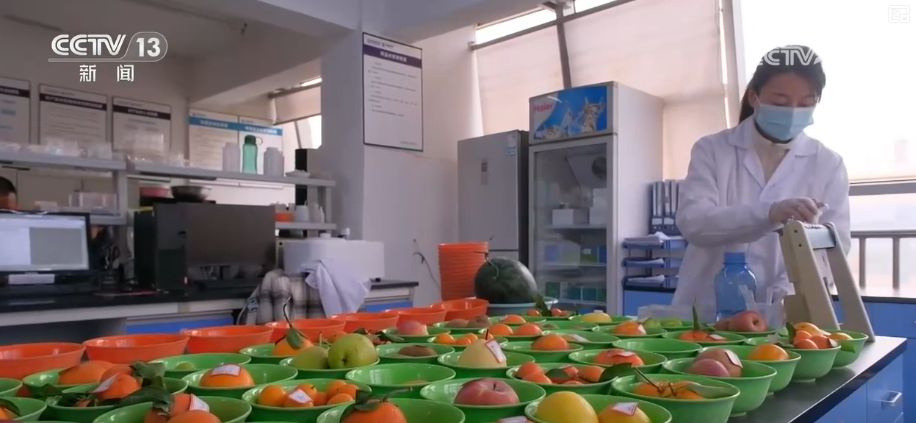 既有浓浓年味又有醇厚文化味 “花样”特色年货集市激活城乡消费活力