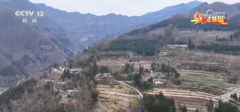 年货“飞”出深山外 科技托起幸福生活新期盼