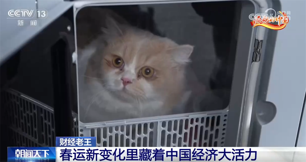 “交通枢纽”变身“消费引擎” 春运“新”变化拼出中国经济的活力与韧性