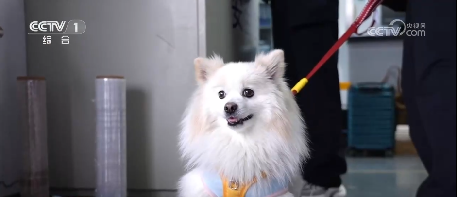 春运暖心服务升级让归途更具幸福感 新变化折射国家发展坚实底气