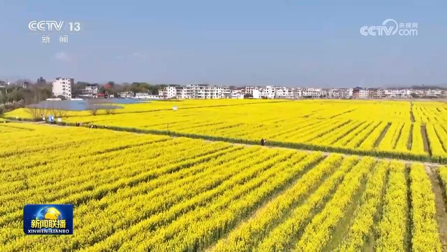 【“十五五”开好局起好步】各地以实干实绩推动高质量发展