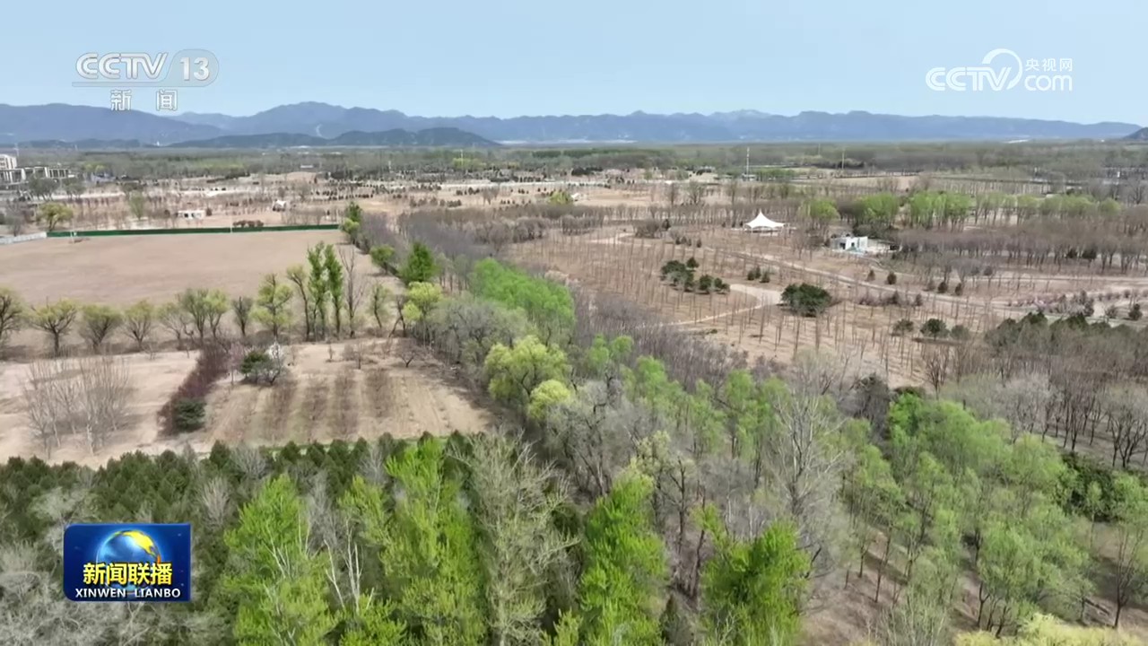 让中国式现代化的底色更加亮丽——习近平总书记参加首都义务植树活动时的重要讲话在广大干部群众中引发热烈反响