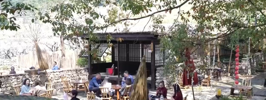 赏花观鸟游“催热”春日经济 以生态优势为媒激活多元业态“新”活力