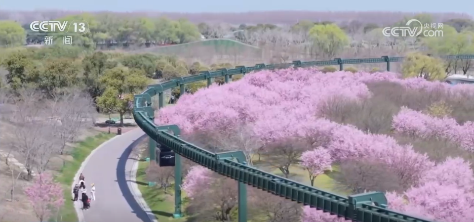 从“种田地”到“种风景” “花样经济”新业态奏响乡村振兴“春日曲”